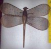 ML metal dragonfly
